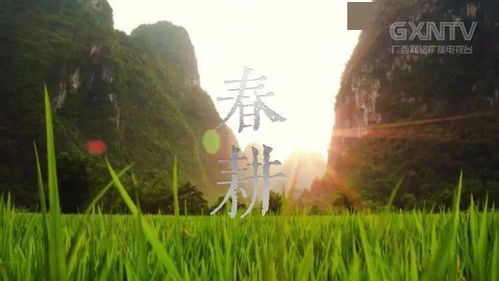 春耕夏耘秋收冬藏，春耕夏耘秋收冬藏意思