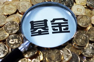 工银瑞信互联网加股票的净值