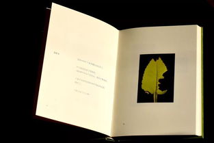 这些书总想c我，这些书总想c我崔黑全文阅读