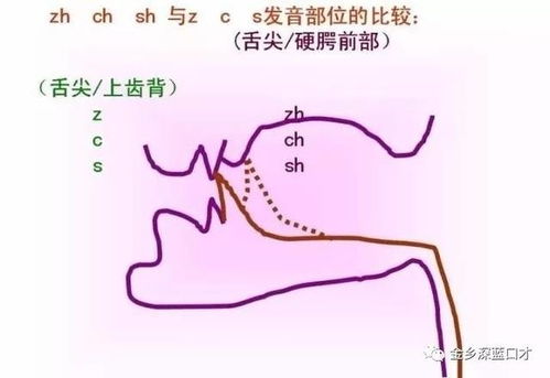 平舌音和翘舌音有哪些