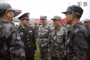 预备役是什么意思，现役和预备役是什么意思