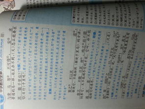 马说文言文原文翻译