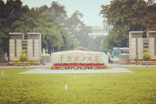 华南农业大学是211吗，华中农业大学是211吗还是985