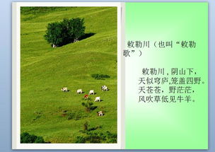 《草原》的课文原文