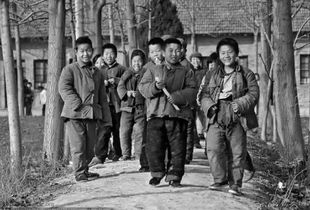 回答80年代是什么意思,80年代指几年到几年