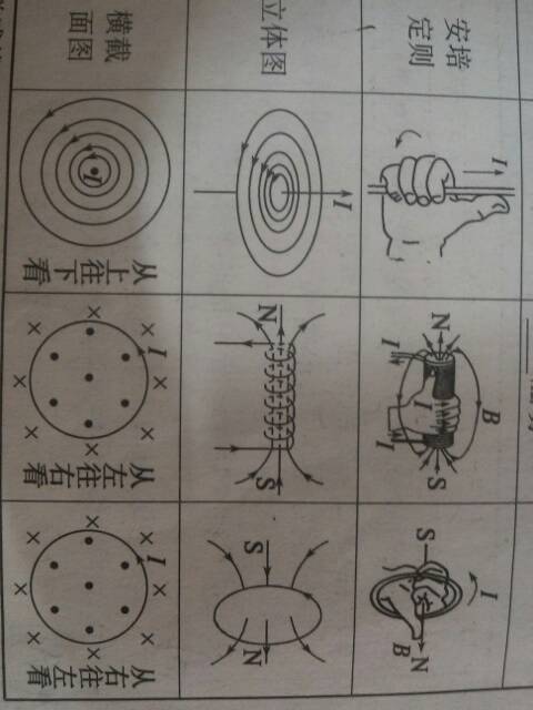 “左手定则”和“右手定则”分别是什么?要求图解