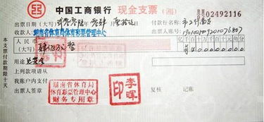 支票样本