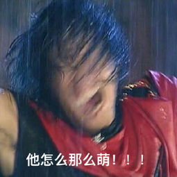 步惊云表情包，步惊云表情包gif