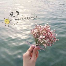 愿一切安好什么意思
