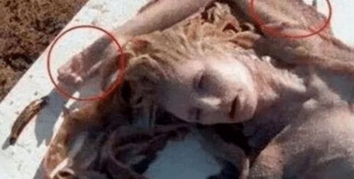 在1962年发生的一起活捉小人鱼事件,捉的东西真的是人鱼吗?