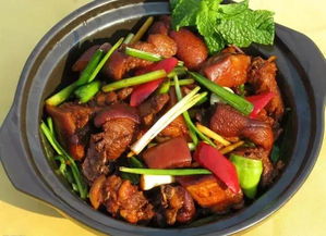 WOW中,烹饪材料山狗肉哪里掉的?