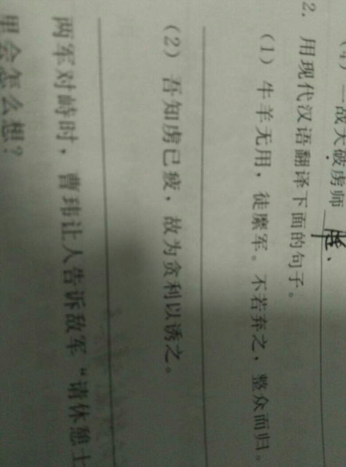 初中文言文翻译，初中文言文翻译方法和技巧