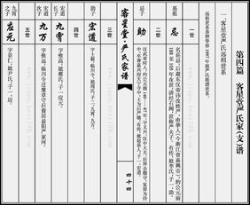 族谱家谱格式，族谱家谱格式模板