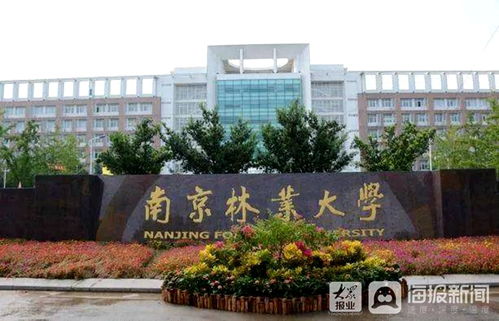 南京林业大学教务网:www.njfu.edu.cn(点击进入)