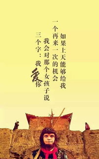 万年只争朝夕，万年只争朝夕免费阅读