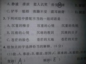 “为”字可以组什么词语?