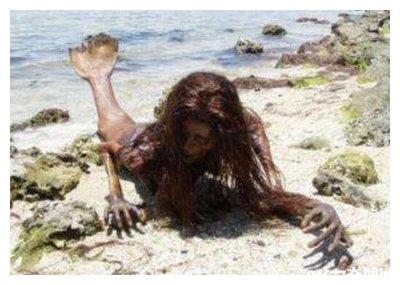 1962年活鲛人图片，1962年活鲛人图片美人鱼