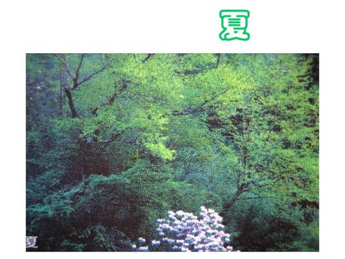 大自然之歌，大自然之歌歌词