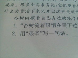 因为写一句话，因为写一句话一年级