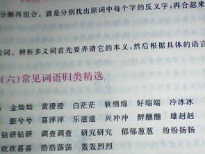 abb的词有哪些?