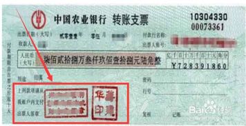 支票样本图片