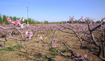 好看的官场异能小说