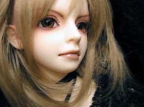 求一个五个字,带有伊人, 有诗意的网名