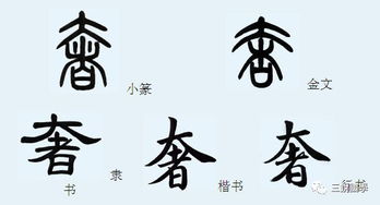 汉字的由来50字，汉字的由来50字简介3年级