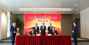 中国国新控股有限责任公司，中国国新控股有限责任公司什么级别