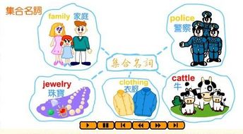 集体名词，集体名词有哪些单词