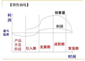 产品生命周期是指哪几个阶段?