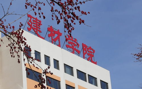 河北建材，河北建材职业技术学校官网