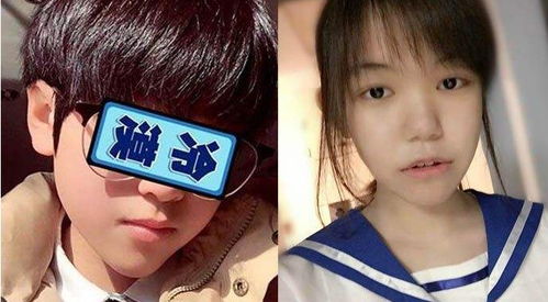 洛少爷是男的还是女的，洛少爷是男的还是女的小说