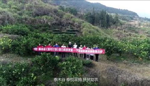 泰木谷是真的吗?