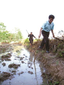 田埂跟田畦是一回事吗?