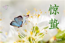 惊蛰怎么读音