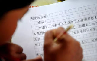给父母的感谢信