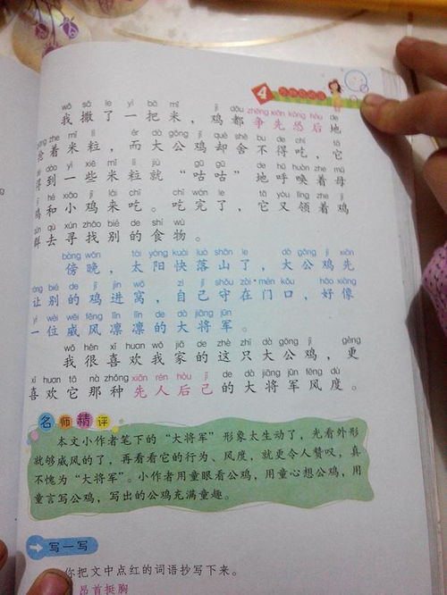 小猫作文100字
