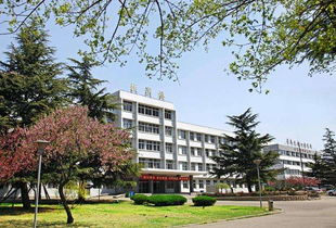 青岛二卫校录取分数线