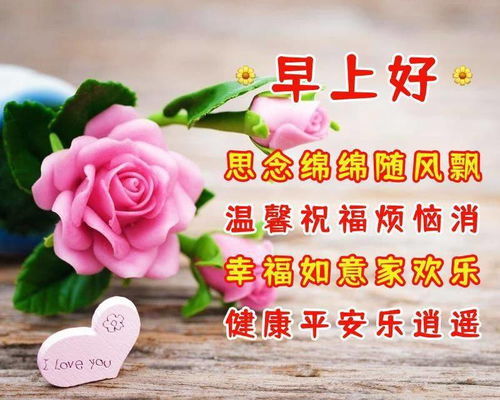 周五问候语，周五问候语给客户简短