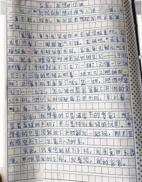 春节满分作文，春节满分作文300