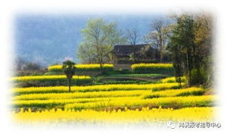 农村区域发展，农村区域发展考研考什么科目