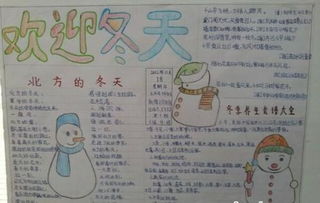 立冬的手抄报怎么画