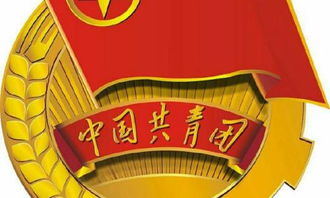 学生会组织部负责什么