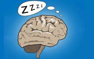 相辅相成什么意思