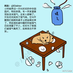 一件令人感动的事作文