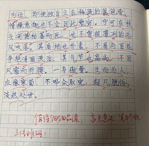 三年级小学生写作文三百字左右