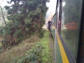 火车轰隆隆，火车轰隆隆教案