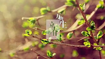 什么是立春,什么时候立春?