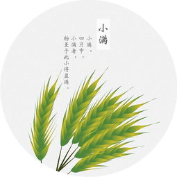 小满代表什么